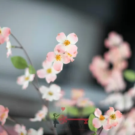 Sofia X 6pax 5min Station -by Easylife Swiss Appartamento *